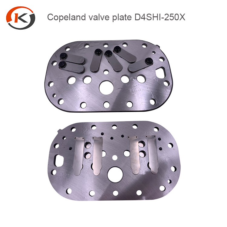 valve plate